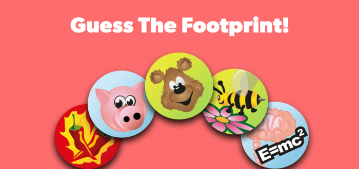 Play our fun footprints translation game!